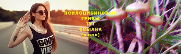 эйфоретик Бородино