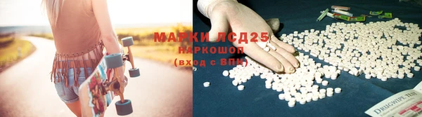 эйфоретик Бородино