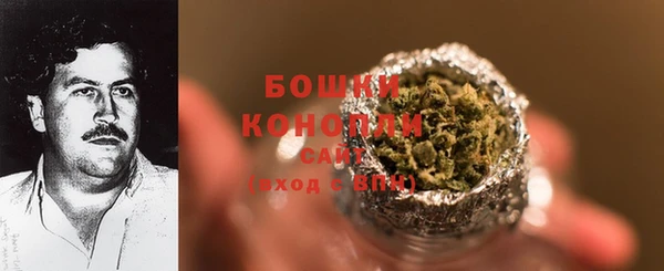 эйфоретик Бородино