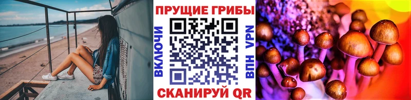 Галлюциногенные грибы Psilocybe  Карталы 